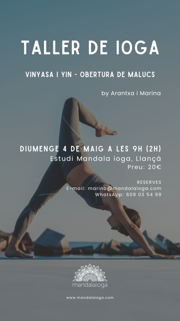 Taller de ioga