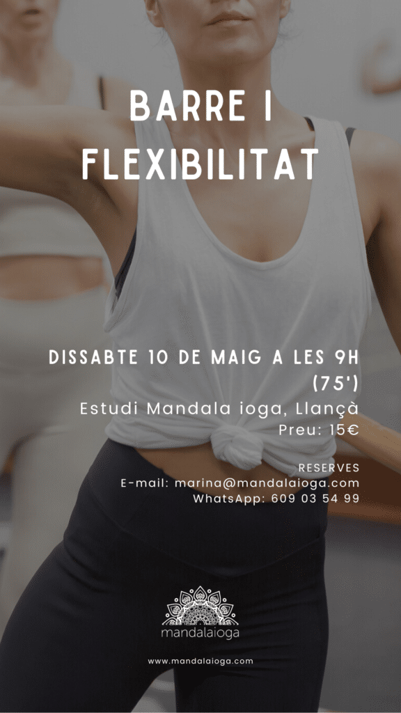 Taller de Barre i flexibilitat