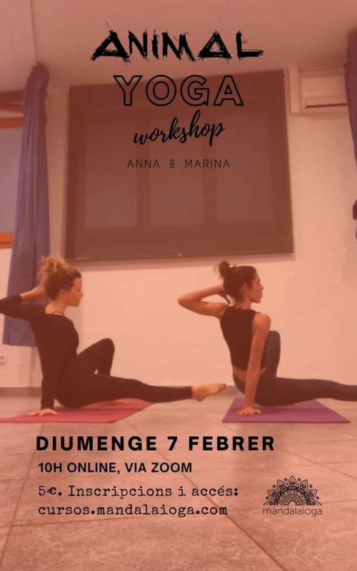 Animal Flow + Yoga